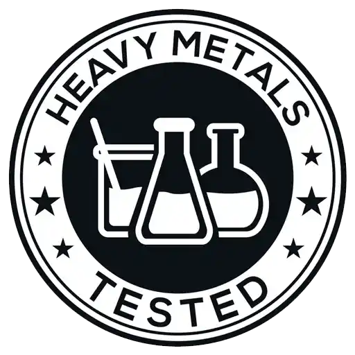 heavy-metal.webp